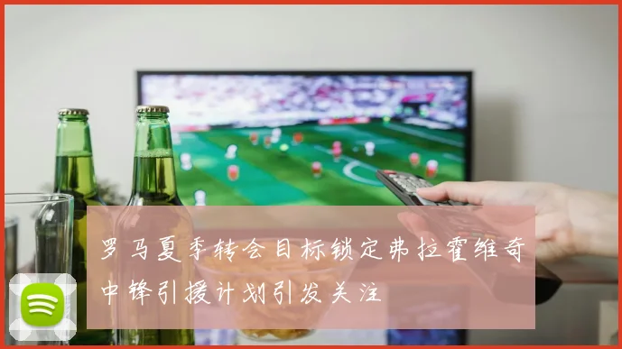 罗马夏季转会目标锁定弗拉霍维奇中锋引援计划引发关注